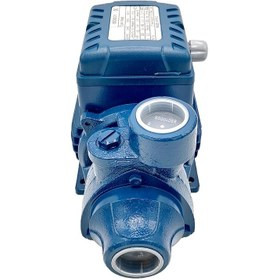 پمپ آب برند لومیتال نیم اسب ایتالیایی مدل PKL 60-S
